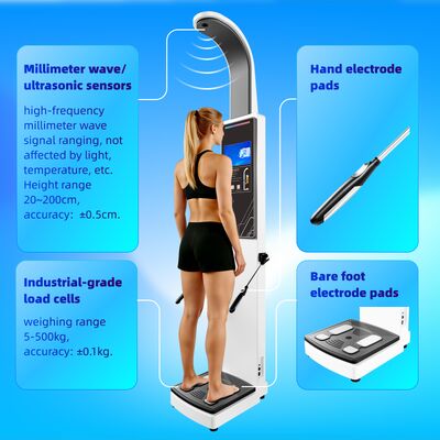 Newest Body Fat Analyzer Composite And Muscle Analyzer With Bioimpedance Machine With Printer